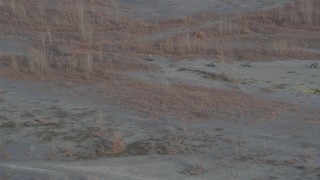 Four Wheeling Aerial Stock Footage