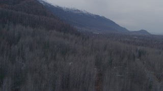 4K aerial stock footage flying over homes near Chugach Mountains, Knik River, Alaska Aerial Stock Footage | AK0001_0219