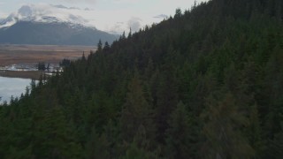 4K aerial stock footage flying low over forested slope, Kenai Mountains, Alaska Aerial Stock Footage | AK0001_0380