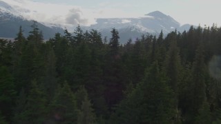 AK0001_0382 - 4K aerial stock footage flying low over forested slope, revealing valley, ponds, Kenai Mountains, Alaska