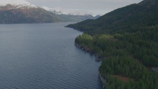 4K aerial stock footage flying over wooded shoreline, Prince William Sound, Passage Canal, Alaska Aerial Stock Footage | AK0001_0399