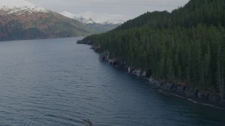 4K aerial stock footage flying along forested shoreline, Passage Canal, Alaska Aerial Stock Footage | AK0001_0400