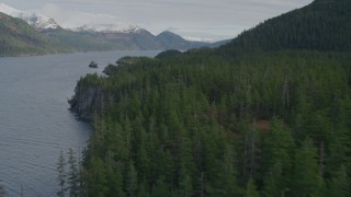 4K aerial stock footage flying over forest, Passage Canal, Alaska Aerial Stock Footage | AK0001_0401