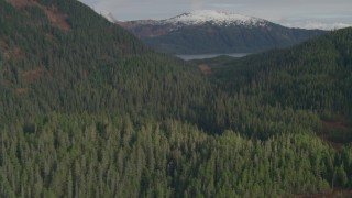 AK0001_0409 - 4K aerial stock footage approaching Esther Lake, from over tree lined shore, Esther Island, Alaska