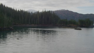 AK0001_0432 - 4K aerial stock footage fly over water near shore, ascend trees, reveal glacier, Prince William Sound, Alaska