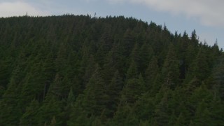 4K aerial stock footage ascending a wooded slope, revealing snow capped peak, Kenai Mountains, Alaska Aerial Stock Footage | AK0001_0524