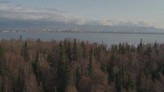 AK0001_0596 - 4K aerial stock footage over trees, reveal Downtown Anchorage across inlet, Point MacKenzie, Alaska