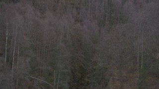 AK0001_0634 - Aerial stock footage of Following a river gorge, wooded hills, ascending trees, Birchwood, Alaska