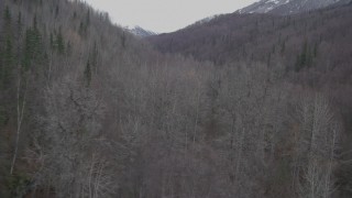 4K aerial stock footage flying over trees, wooded hills, Birchwood, Alaska Aerial Stock Footage | AK0001_0636