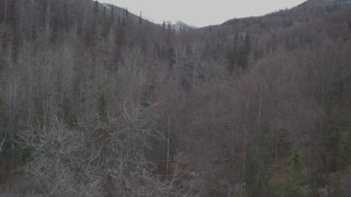 AK0001_0638 - 4K aerial stock footage flying low over trees, between forested hills, Birchwood, Alaska