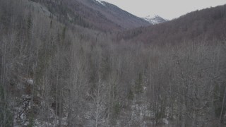 AK0001_0639 - 4K aerial stock footage flying low over trees between wooded hills, Birchwood, Alaska