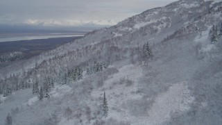 4K aerial stock footage fly over frosty evergreen forest in the Chugach Mountains, Alaska in winter Aerial Stock Footage | AK0001_0758