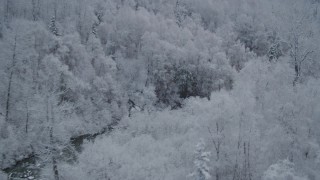 4K aerial stock footage flying along river, frost-covered trees, winter, Chugach Mountains, Alaska Aerial Stock Footage | AK0001_0761