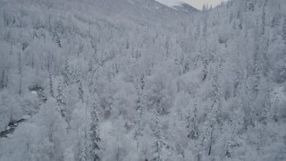 4K aerial stock footage fly low over snow-covered trees, reveal river, Chugach Mountains, Alaska Aerial Stock Footage | AK0001_0762