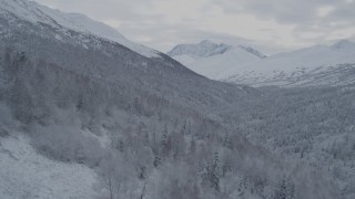 4K aerial stock footage flying up slope from forested valley, winter, Chugach Mountains, Alaska Aerial Stock Footage | AK0001_0763