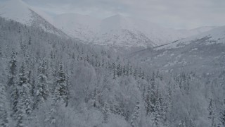 4K aerial stock footage fly low over wooded slope toward snowy Chugach Mountains, Alaska Aerial Stock Footage | AK0001_0764