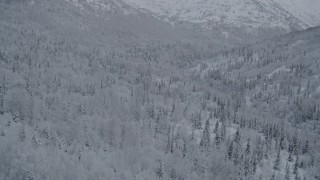 4K aerial stock footage flying over wooded slopes, winter, Chugach Mountains, Alaska Aerial Stock Footage | AK0001_0765