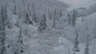 4K aerial stock footage flying low over snowy treetops, winter, Chugach Mountains, Alaska Aerial Stock Footage | AK0001_0767