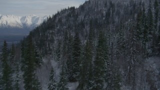 4K aerial stock footage flying over wooded slopes, views of snow-capped Chugach Mountains, Alaska Aerial Stock Footage | AK0001_0782