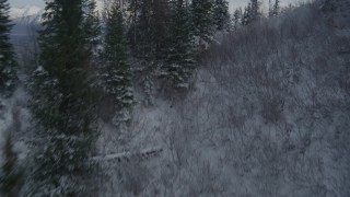 4K aerial stock footage fly low over treetops, reveal Knik River Valley, snowy Chugach Mountains, Alaska Aerial Stock Footage | AK0001_0783