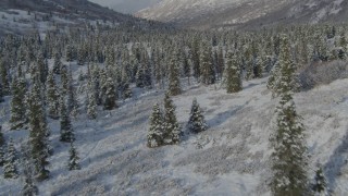 4K aerial stock footage fly low over trees in snowy valley, revealing river, Chugach Mountains, Alaska Aerial Stock Footage | AK0001_0805