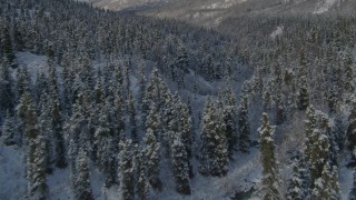 4K aerial stock footage follow river through forest in snowy valley, Chugach Mountains, Alaska Aerial Stock Footage | AK0001_0806