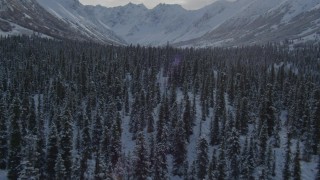 4K aerial stock footage flying low over frosty treetops near snow-covered Chugach Mountains, Alaska Aerial Stock Footage | AK0001_0807