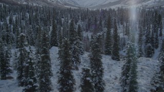 4K aerial stock footage flying over snowy forested valley, reveal river, Chugach Mountains, Alaska Aerial Stock Footage | AK0001_0808