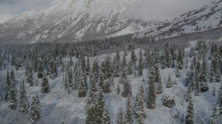 4K aerial stock footage flying over forested valley, snow-covered Chugach Mountains, Alaska Aerial Stock Footage | AK0001_0810