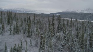 4K aerial stock footage flying over snow covered forest during winter, Matanuska River Valley, Alaska Aerial Stock Footage | AK0001_0871