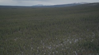 4K aerial stock footage flying over snow covered forest during winter, Alaskan Wilderness Aerial Stock Footage | AK0001_0905