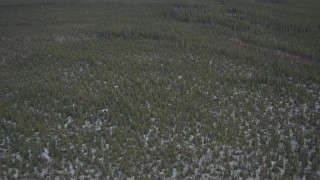 4K aerial stock footage flying over snow covered forest during winter, Alaskan Wilderness Aerial Stock Footage | AK0001_0906