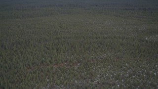 4K aerial stock footage flying over a small river and snowy forest during winter, Alaskan Wilderness Aerial Stock Footage | AK0001_0907