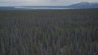 4K aerial stock footage flying over a snow covered forest during winter, Alaskan Wilderness Aerial Stock Footage | AK0001_0908