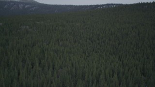 AK0001_0966 - 4K aerial stock footage flying over wooded hills, during winter, Alaskan Wilderness