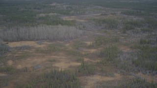 4K aerial stock footage fly over forest, reveal Trans-Alaskan Pipeline, during winter, Alaskan Wilderness Aerial Stock Footage | AK0001_0974