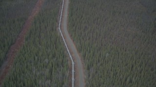 4K aerial stock footage following pipeline, revealing forest during winter, Trans-Alaska Pipeline, Alaska Aerial Stock Footage | AK0001_0984