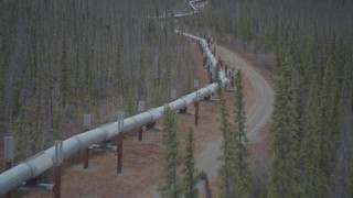 AK0001_0987 - 4K aerial stock footage fly low over pipeline through forest, during winter, Trans-Alaska Pipeline, Alaska