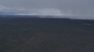 4K aerial stock footage forest in the Alaskan Wilderness, reveal rain clouds Aerial Stock Footage | AK0001_1017