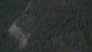 4K aerial stock footage flying over the Tazlina River and evergreen forest, Alaska Aerial Stock Footage | AK0001_1025