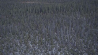 4K aerial stock footage flying away from wetlands over snow covered forest, Alaskan Wilderness Aerial Stock Footage | AK0001_1038