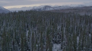 4K aerial stock footage flying over a snowy, tree topped cliff beside the Matanuska River Valley, Alaska Aerial Stock Footage | AK0001_1089