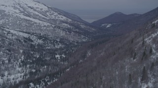 4K aerial stock footage flying over snow covered wooded valley in the Chugach Mountains, Alaska Aerial Stock Footage | AK0001_1188