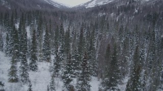 4K aerial stock footage flying low over snow covered, wooded valley, Chugach Mountains, Alaska Aerial Stock Footage | AK0001_1194