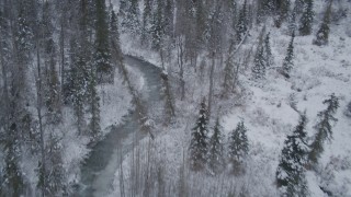 4K aerial stock footage following a river cutting through snow covered forest, Chugach Mountains, Alaska Aerial Stock Footage | AK0001_1199