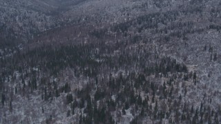 4K aerial stock footage flying over snow covered, wooded hills, Chugach Mountains, Alaska Aerial Stock Footage | AK0001_1334