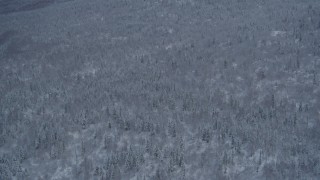 4K aerial stock footage approaching snow covered, wooded slopes in Chugach Mountains, Alaska Aerial Stock Footage | AK0001_1531