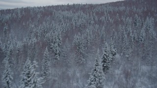 4K aerial stock footage flying low over snow covered wooded slopes revealing Chugach Mountains, Alaska Aerial Stock Footage | AK0001_1533