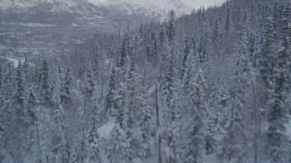 4K aerial stock footage over snowy, wooded slopes toward Eagle River Valley, Chugach Mountains, Alaska Aerial Stock Footage | AK0001_1534