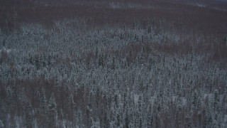 4K aerial stock footage flying over snow covered wooded hills at base of Chugach Mountains, Alaska Aerial Stock Footage | AK0001_1616